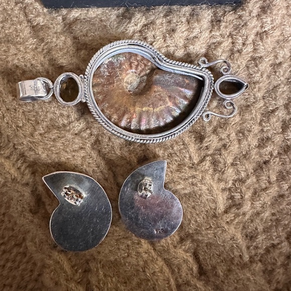 Amazing custom made Ammonite Fossil Jewelry Set with Citrine Accents - Picture 5 of 7